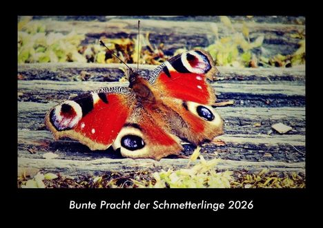 Tobias Becker: Bunte Pracht der Schmetterlinge 2026 Fotokalender DIN A3, Kalender