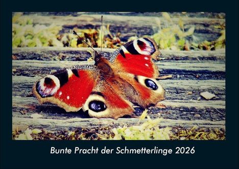 Tobias Becker: Bunte Pracht der Schmetterlinge 2026 Fotokalender DIN A4, Kalender
