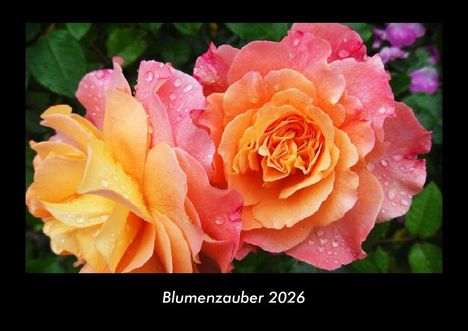 Tobias Becker: Blumenzauber 2026 Fotokalender DIN A3, Kalender