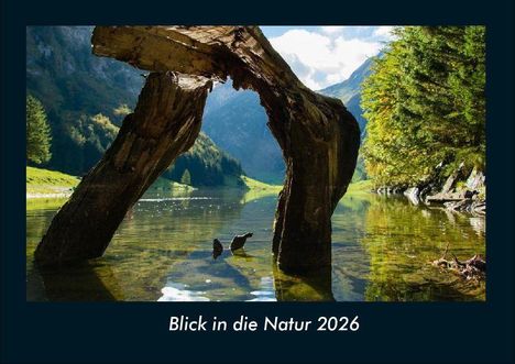 Tobias Becker: Blick in die Natur 2026 Fotokalender DIN A4, Kalender