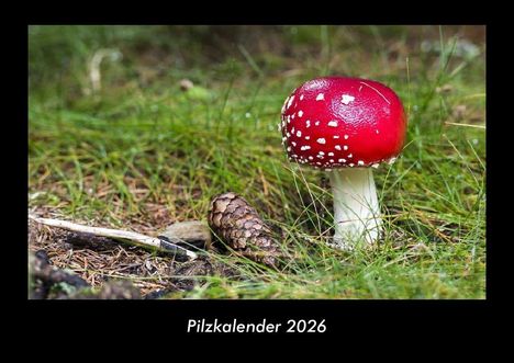 Tobias Becker: Pilzkalender 2026 Fotokalender DIN A3, Kalender