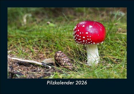 Tobias Becker: Pilzkalender 2026 Fotokalender DIN A5, Kalender