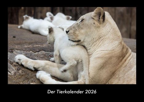 Tobias Becker: Der Tierkalender 2026 Fotokalender DIN A3, Kalender