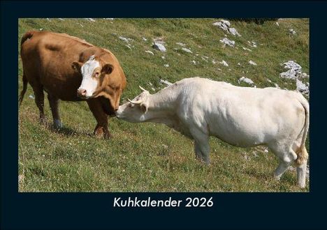 Tobias Becker: Kuhkalender 2026 Fotokalender DIN A5, Kalender