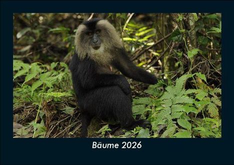Tobias Becker: Bäume 2026 Fotokalender DIN A5, Kalender