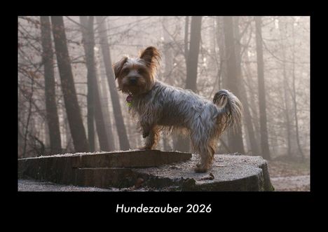 Tobias Becker: Hundezauber 2026 Fotokalender DIN A3, Kalender