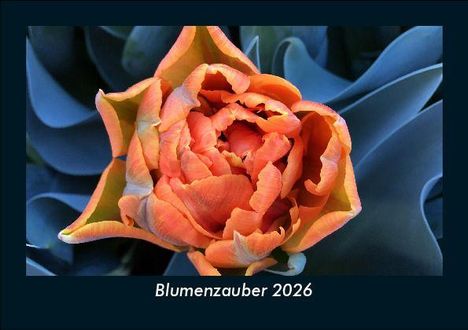 Tobias Becker: Blumenzauber 2026 Fotokalender DIN A5, Kalender