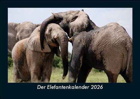 Tobias Becker: Der Elefantenkalender 2026 Fotokalender DIN A5, Kalender