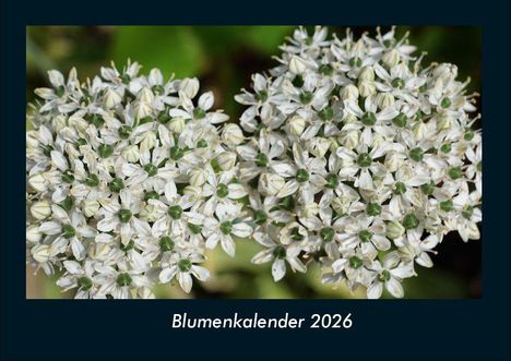 Tobias Becker: Blumenkalender 2026 Fotokalender DIN A4, Kalender
