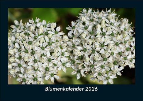 Tobias Becker: Blumenkalender 2026 Fotokalender DIN A5, Kalender