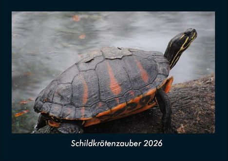 Tobias Becker: Schildkrötenzauber 2026 Fotokalender DIN A4, Kalender