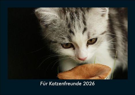 Tobias Becker: Für Katzenfreunde 2026 Fotokalender DIN A5, Kalender