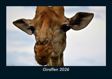 Tobias Becker: Giraffen 2026 Fotokalender DIN A5, Kalender