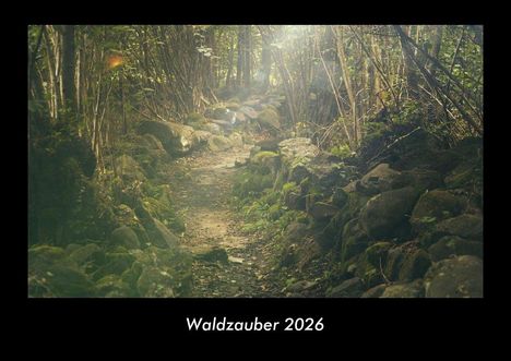 Tobias Becker: Waldzauber 2026 Fotokalender DIN A3, Kalender