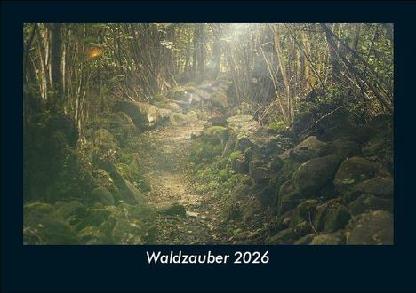Tobias Becker: Waldzauber 2026 Fotokalender DIN A5, Kalender