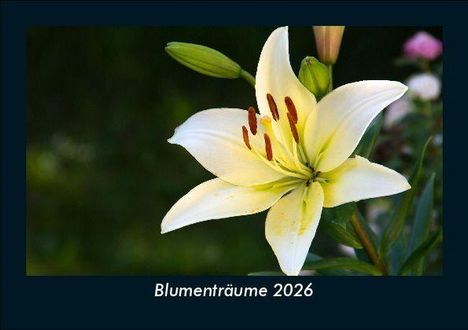 Tobias Becker: Blumenträume 2026 Fotokalender DIN A5, Kalender