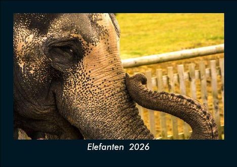 Tobias Becker: Elefanten 2026 Fotokalender DIN A5, Kalender