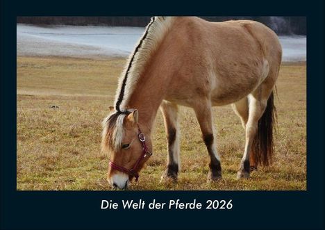 Tobias Becker: Die Welt der Pferde 2026 Fotokalender DIN A4, Kalender