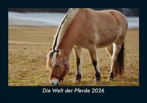 Tobias Becker: Die Welt der Pferde 2026 Fotokalender DIN A5, Kalender