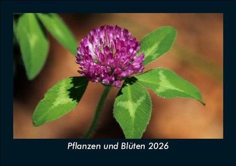 Tobias Becker: Pflanzen und Blüten 2026 Fotokalender DIN A5, Kalender