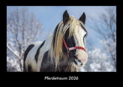 Tobias Becker: Pferdetraum 2026 Fotokalender DIN A3, Kalender