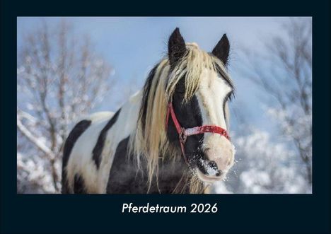 Tobias Becker: Pferdetraum 2026 Fotokalender DIN A4, Kalender