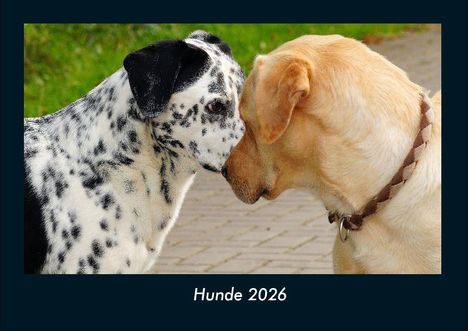 Tobias Becker: Hunde 2026 Fotokalender DIN A4, Kalender