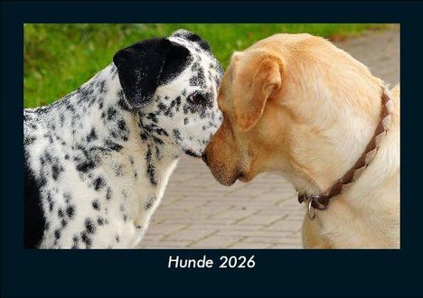Tobias Becker: Hunde 2026 Fotokalender DIN A5, Kalender