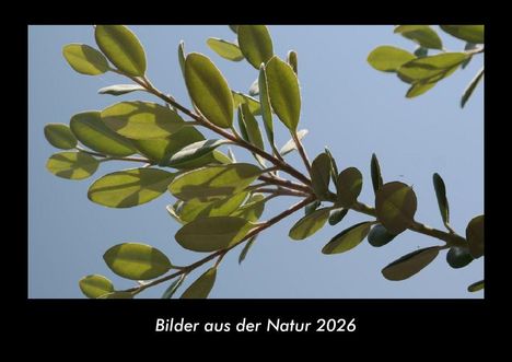 Tobias Becker: Bilder aus der Natur 2026 Fotokalender DIN A3, Kalender