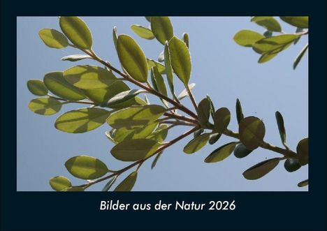 Tobias Becker: Bilder aus der Natur 2026 Fotokalender DIN A4, Kalender