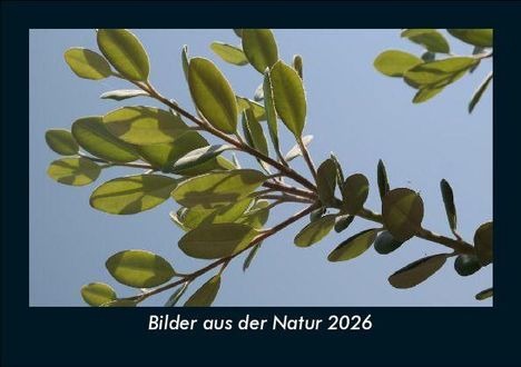 Tobias Becker: Bilder aus der Natur 2026 Fotokalender DIN A5, Kalender