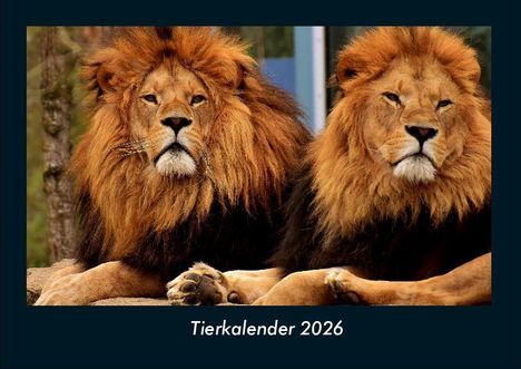 Tobias Becker: Tierkalender 2026 Fotokalender DIN A4, Kalender