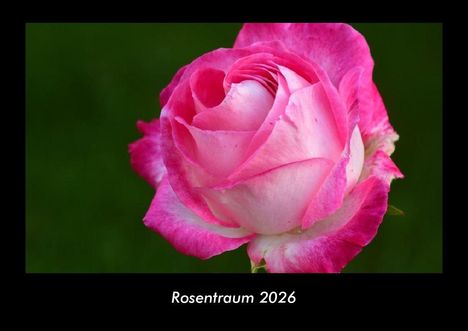 Tobias Becker: Rosentraum 2026 Fotokalender DIN A3, Kalender