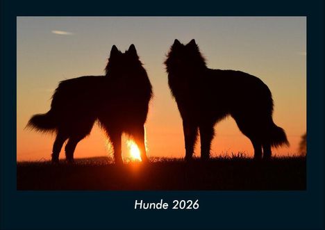Tobias Becker: Hunde 2026 Fotokalender DIN A4, Kalender