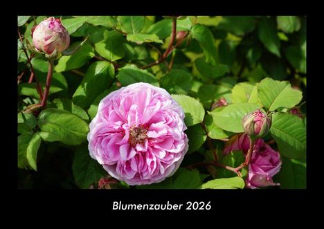 Tobias Becker: Blumenzauber 2026 Fotokalender DIN A3, Kalender