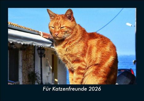Tobias Becker: Für Katzenfreunde 2026 Fotokalender DIN A5, Kalender