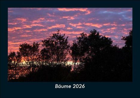 Tobias Becker: Bäume 2026 Fotokalender DIN A5, Kalender