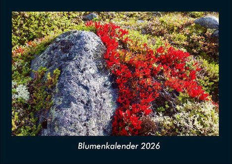 Tobias Becker: Blumenkalender 2026 Fotokalender DIN A4, Kalender