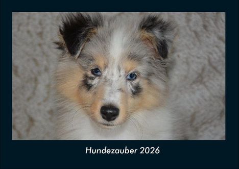 Tobias Becker: Hundezauber 2026 Fotokalender DIN A4, Kalender
