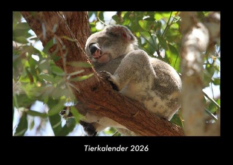 Tobias Becker: Tierkalender 2026 Fotokalender DIN A3, Kalender
