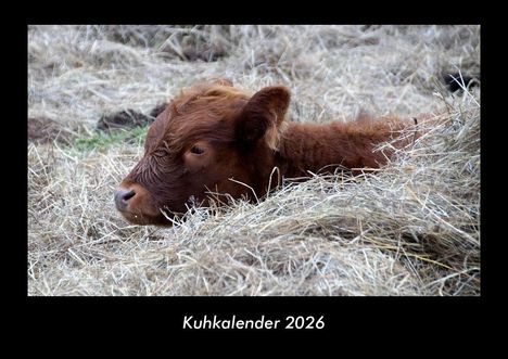 Tobias Becker: Kuhkalender 2026 Fotokalender DIN A3, Kalender