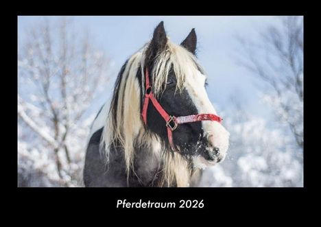 Tobias Becker: Pferdetraum 2026 Fotokalender DIN A3, Kalender
