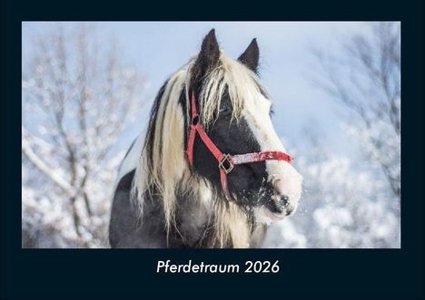 Tobias Becker: Pferdetraum 2026 Fotokalender DIN A4, Kalender
