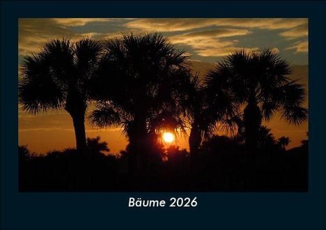 Tobias Becker: Bäume 2026 Fotokalender DIN A5, Kalender