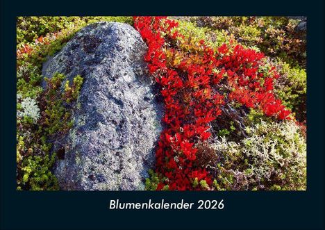Tobias Becker: Blumenkalender 2026 Fotokalender DIN A4, Kalender