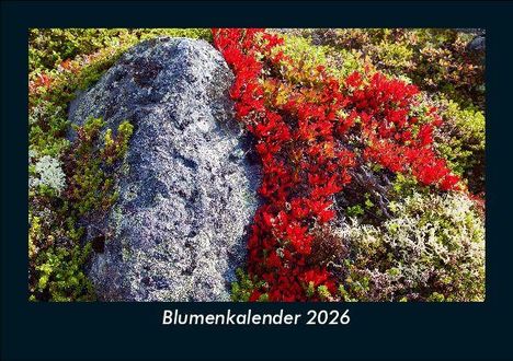 Tobias Becker: Blumenkalender 2026 Fotokalender DIN A5, Kalender