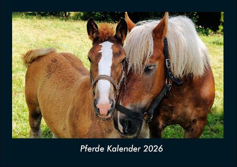 Tobias Becker: Pferde Kalender 2026 Fotokalender DIN A4, Kalender