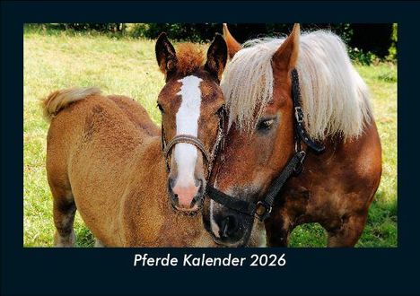 Tobias Becker: Pferde Kalender 2026 Fotokalender DIN A5, Kalender