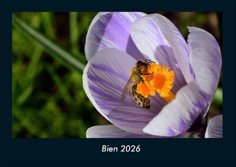 Tobias Becker: Bien 2026 Fotokalender DIN A4, Kalender