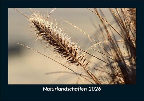Tobias Becker: Naturlandschaften 2026 Fotokalender DIN A5, Kalender